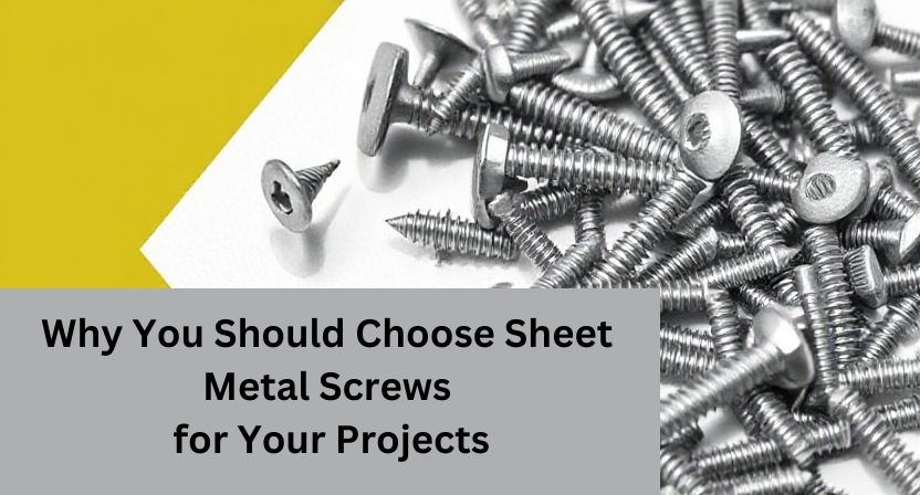 Why You Should Choose Sheet Metal Screws for Your Projects